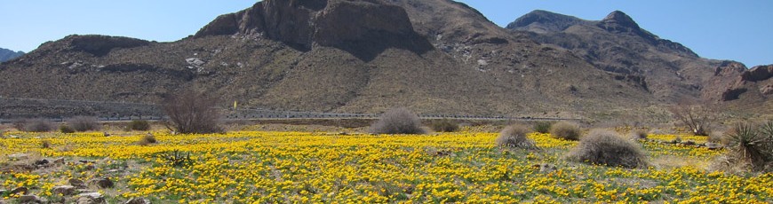 Exploring digital frontiers from the Texas, NM Borderplex